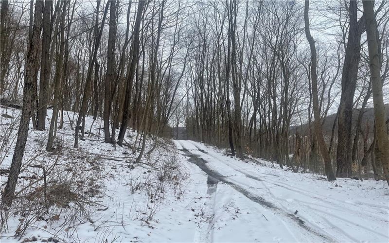 130 Wood, Bolivar, 15923, ,Farm-acreage-lot,For Sale,Wood,1743249