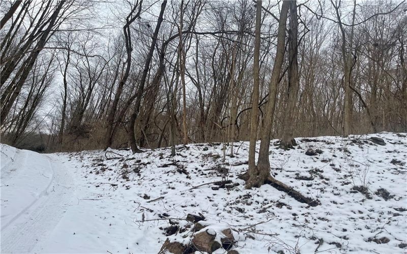 130 Wood, Bolivar, 15923, ,Farm-acreage-lot,For Sale,Wood,1743249