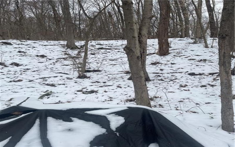 130 Wood, Bolivar, 15923, ,Farm-acreage-lot,For Sale,Wood,1743249