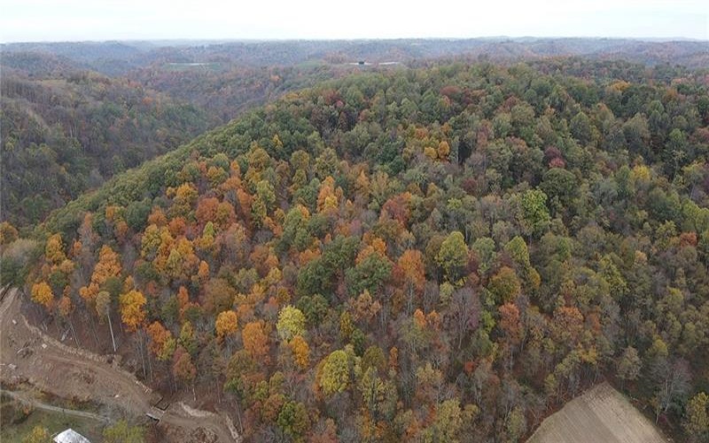 0 Knob Run Rd, New Freeport, 15352, ,Farm-acreage-lot,For Sale,Knob Run Rd,1727240