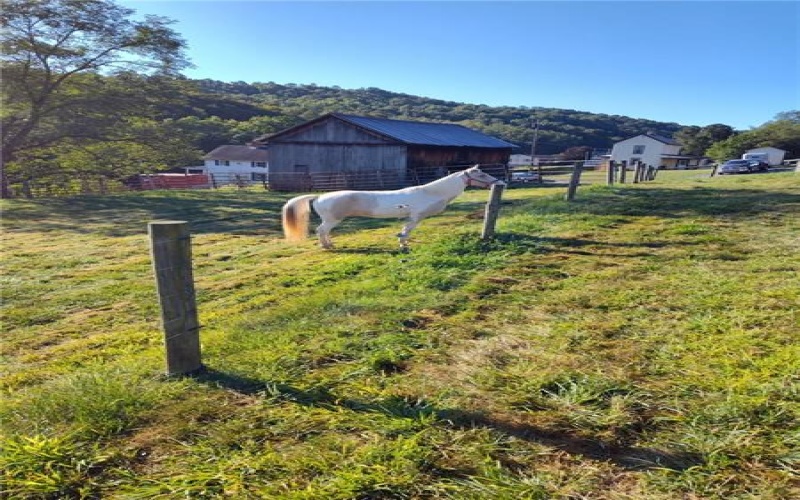 327/329 Sugar Run Road, Waynesburg, 15370, 4 Bedrooms Bedrooms, ,2.2 BathroomsBathrooms,Farm-acreage-lot,For Sale,6-stall barn, 2 run-in's,Sugar Run Road,1743268