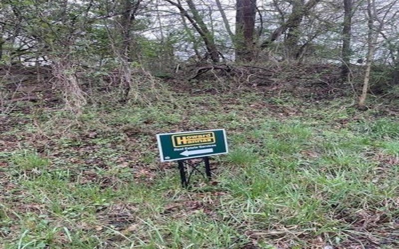 5 Lot 5 Clay Pike, N Huntingdon, 15642, ,Farm-acreage-lot,For Sale,Lot 5 Clay Pike,1745837