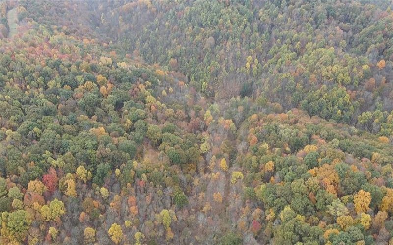 0 Fall Run Rd, Aleppo, 15310, ,Farm-acreage-lot,For Sale,Fall Run Rd,1727245