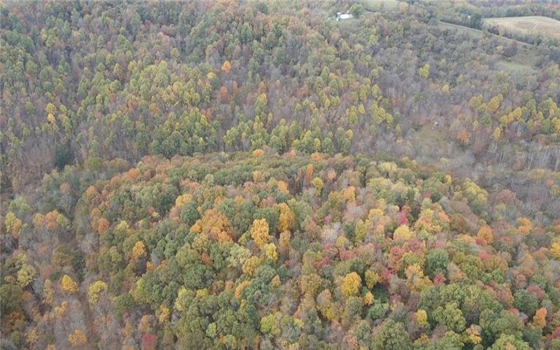 0 Fall Run Rd, Aleppo, 15310, ,Farm-acreage-lot,For Sale,Fall Run Rd,1727245