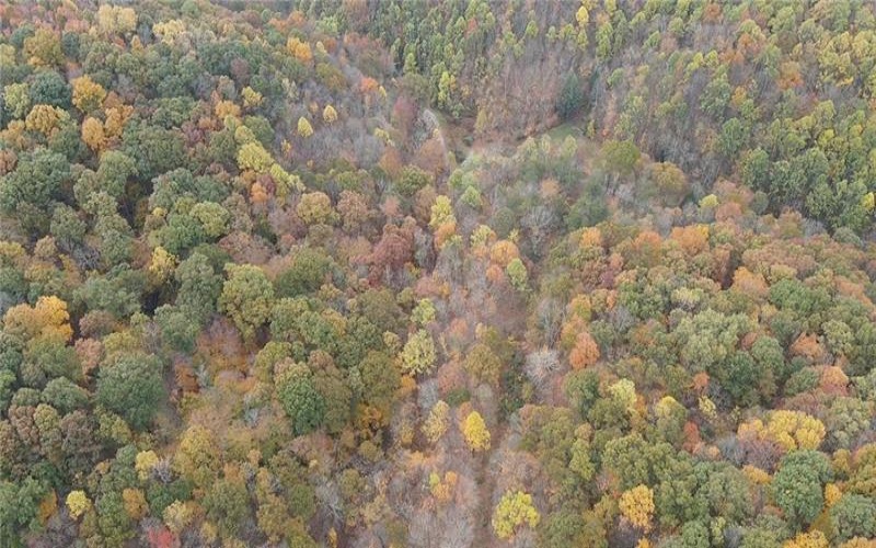 0 Fall Run Rd, Aleppo, 15310, ,Farm-acreage-lot,For Sale,Fall Run Rd,1727245