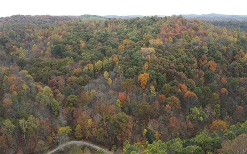 0 Fall Run Rd, Aleppo, 15310, ,Farm-acreage-lot,For Sale,Fall Run Rd,1727245