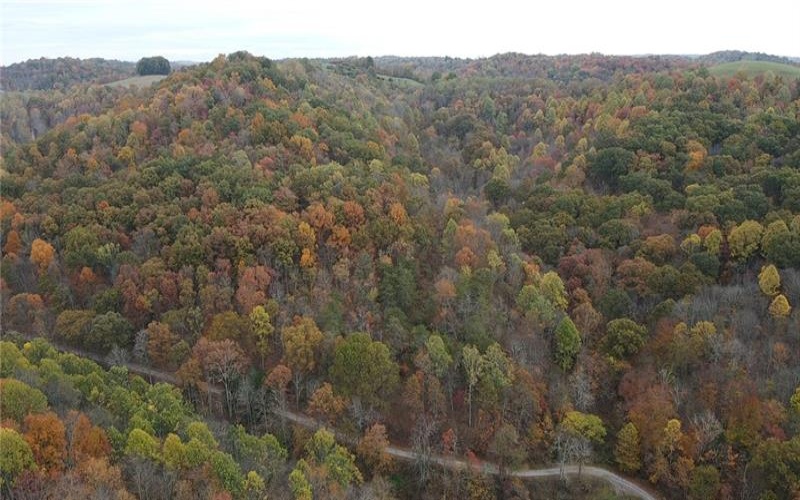 0 Fall Run Rd, Aleppo, 15310, ,Farm-acreage-lot,For Sale,Fall Run Rd,1727245