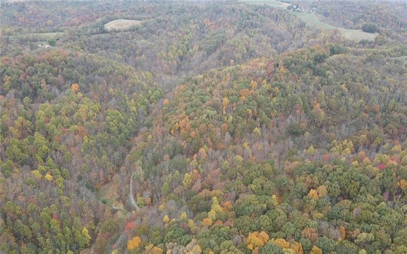 0 Fall Run Rd, Aleppo, 15310, ,Farm-acreage-lot,For Sale,Fall Run Rd,1727245