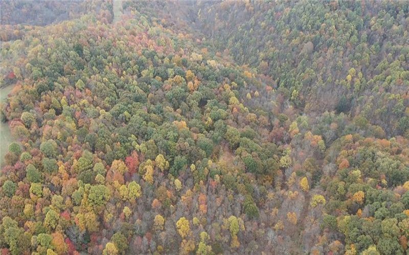 0 Fall Run Rd, Aleppo, 15310, ,Farm-acreage-lot,For Sale,Fall Run Rd,1727245