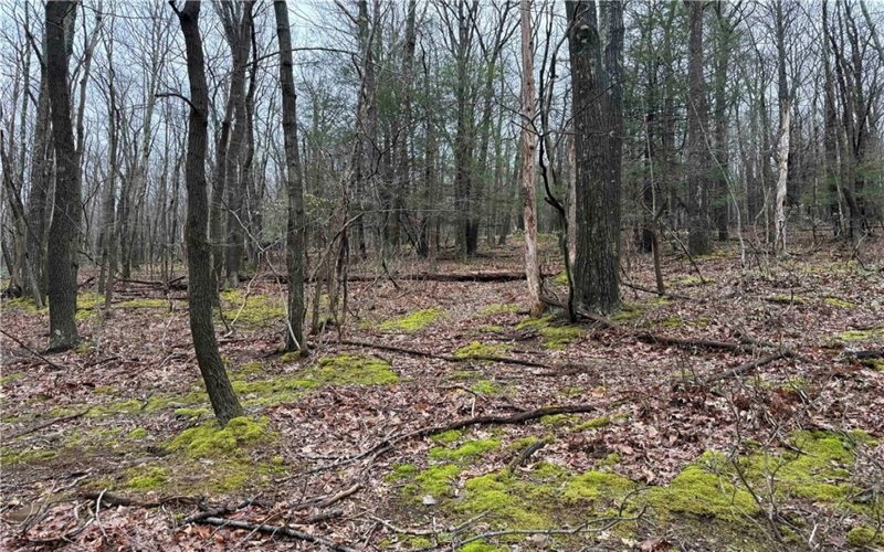 0 Club Rd, Berlin, 15530, ,Farm-acreage-lot,For Sale,Club Rd,1740549