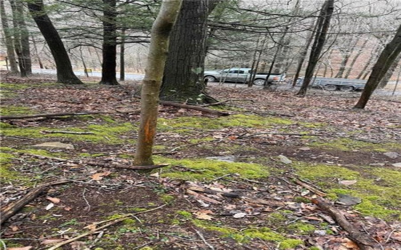 0 Club Rd, Berlin, 15530, ,Farm-acreage-lot,For Sale,Club Rd,1740549
