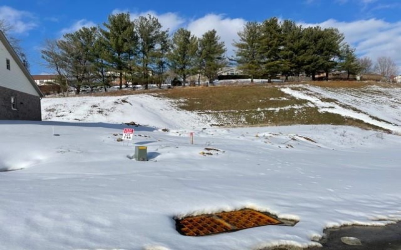 Lot 115 Harrowgate Lane, Mc Murray, 15317, ,Farm-acreage-lot,For Sale,Harrowgate Lane,1737509