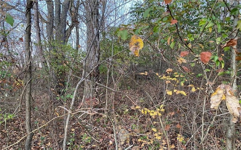 298A McCombs Road, Venetia, 15367, ,Farm-acreage-lot,For Sale,McCombs Road,1727321
