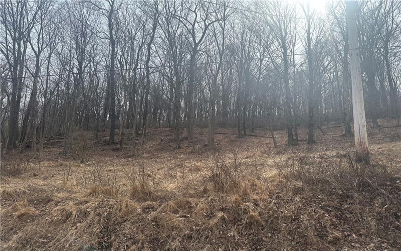 Lot 6 10 School Rd, 15717, 15670, ,Farm-acreage-lot,For Sale,10 School Rd,1745870