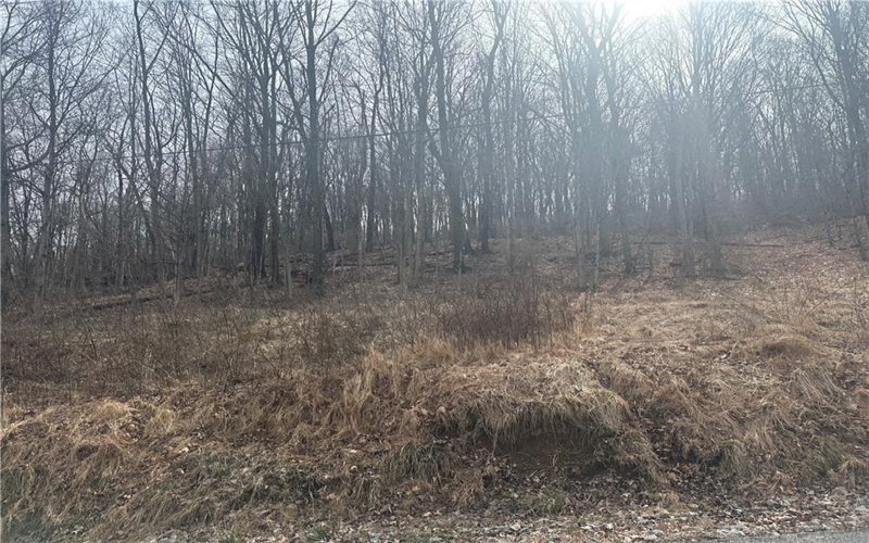 Lot 6 10 School Rd, 15717, 15670, ,Farm-acreage-lot,For Sale,10 School Rd,1745870