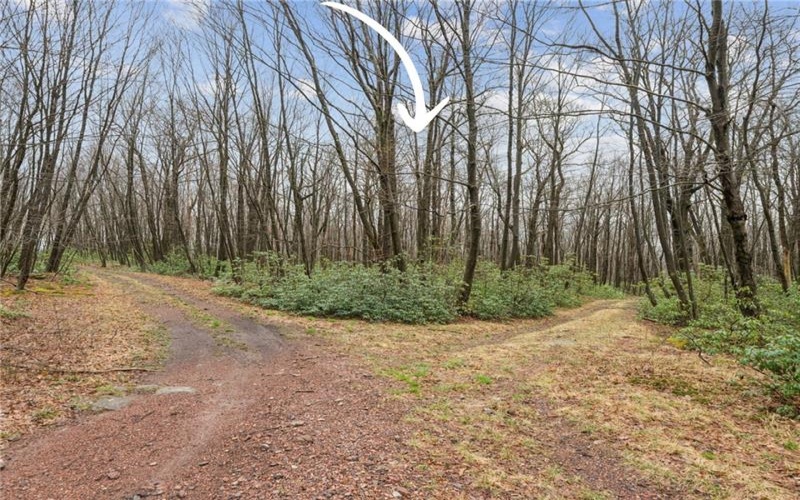 Lot 586 Zermatt Road, Jenners, 15546, ,Farm-acreage-lot,For Sale,Zermatt Road,1745918