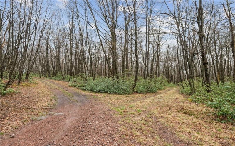 Lot 586 Zermatt Road, Jenners, 15546, ,Farm-acreage-lot,For Sale,Zermatt Road,1745918