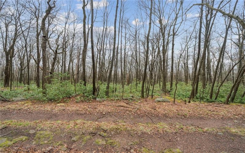 Lot 586 Zermatt Road, Jenners, 15546, ,Farm-acreage-lot,For Sale,Zermatt Road,1745918