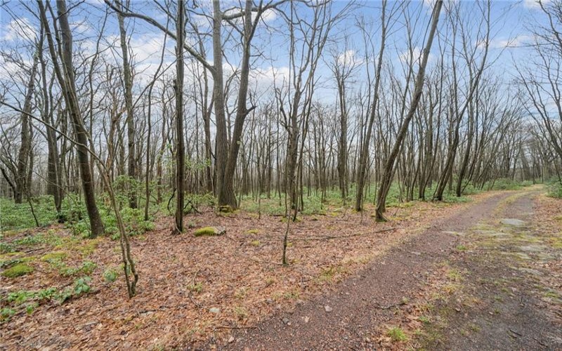 Lot 586 Zermatt Road, Jenners, 15546, ,Farm-acreage-lot,For Sale,Zermatt Road,1745918