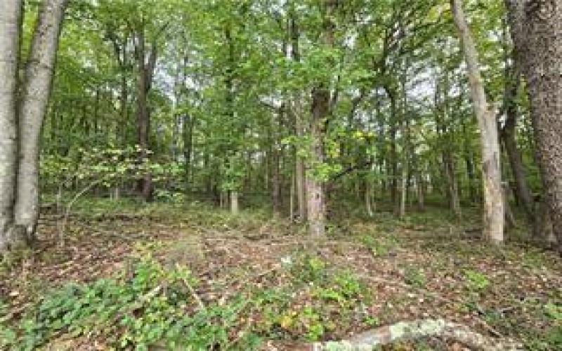000 Lot 22 Dally Road, Long Branch, 15423, ,Farm-acreage-lot,For Sale,None,Dally Road,1727664