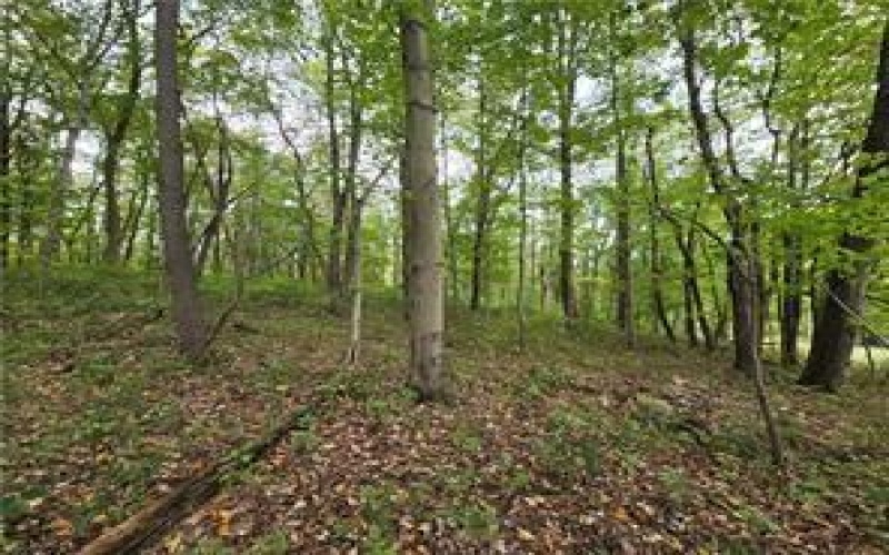 000 Lot 23 Dally Road, Long Branch, 15423, ,Farm-acreage-lot,For Sale,None,Dally Road,1727671