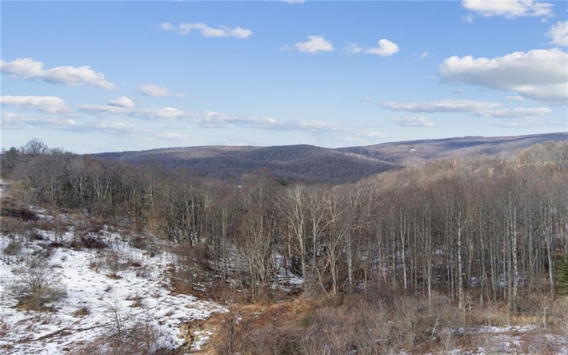 0 McCurdy Trail, Ligonier, 15658, ,Farm-acreage-lot,For Sale,McCurdy Trail,1740778
