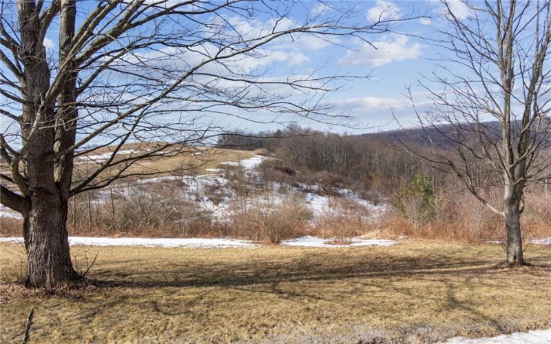 0 McCurdy Trail, Ligonier, 15658, ,Farm-acreage-lot,For Sale,McCurdy Trail,1740778