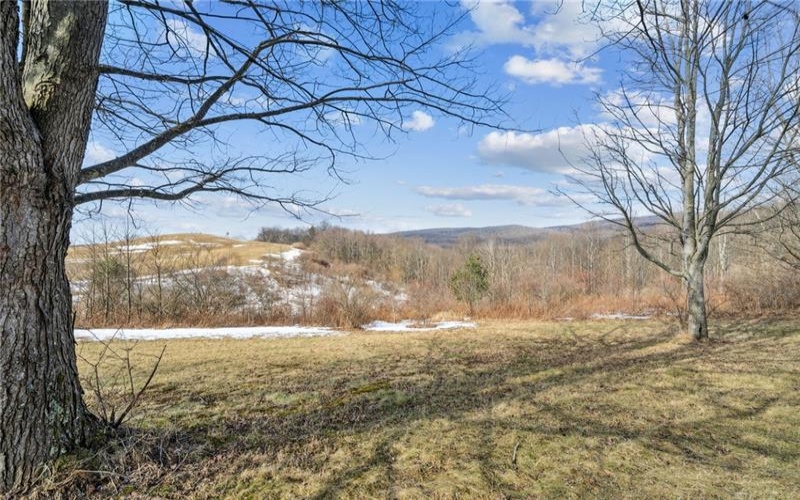 0 McCurdy Trail, Ligonier, 15658, ,Farm-acreage-lot,For Sale,McCurdy Trail,1740778