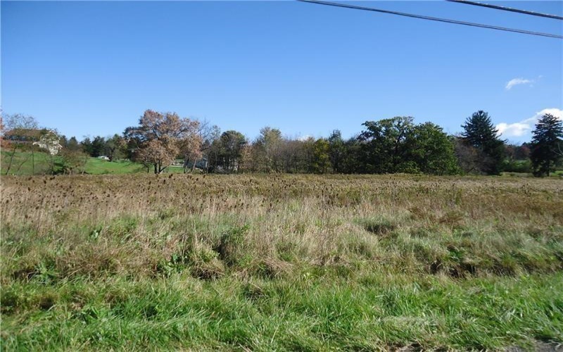 LOT 1 SETTLER ROAD, Ligonier, 15658, ,Farm-acreage-lot,For Sale,None,SETTLER ROAD,1746088