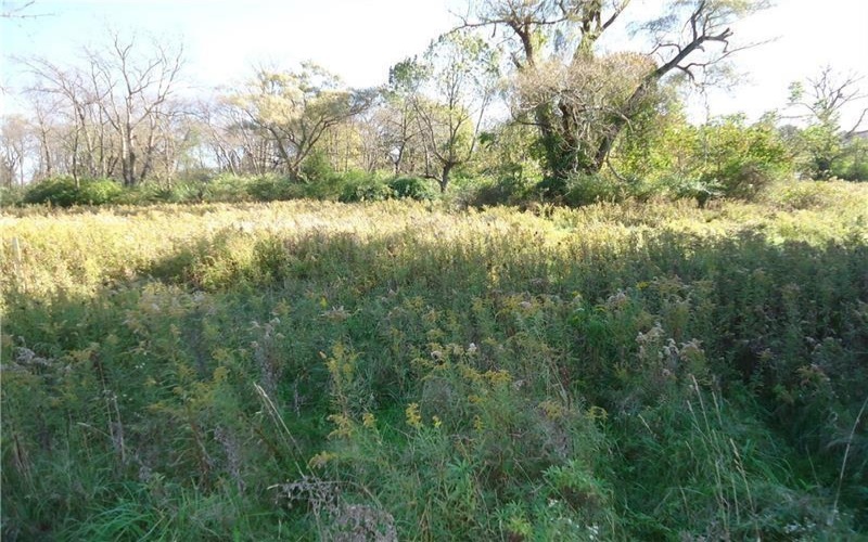 LOT 1 SETTLER ROAD, Ligonier, 15658, ,Farm-acreage-lot,For Sale,None,SETTLER ROAD,1746088