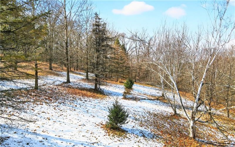 Lot# 14 Verner Lane, Washington, 15301, ,Farm-acreage-lot,For Sale,Verner Lane,1740894