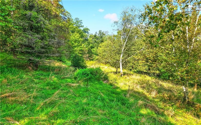 Lot# 14 Verner Lane, Washington, 15301, ,Farm-acreage-lot,For Sale,Verner Lane,1740894