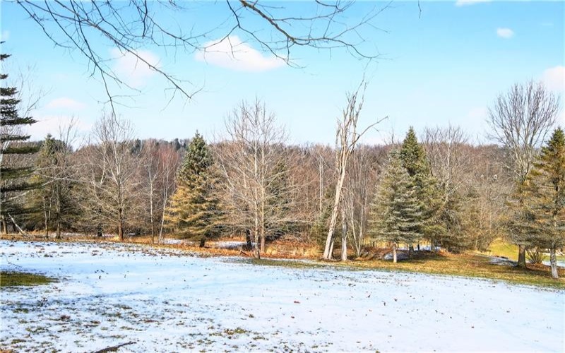 Lot# 14 Verner Lane, Washington, 15301, ,Farm-acreage-lot,For Sale,Verner Lane,1740894