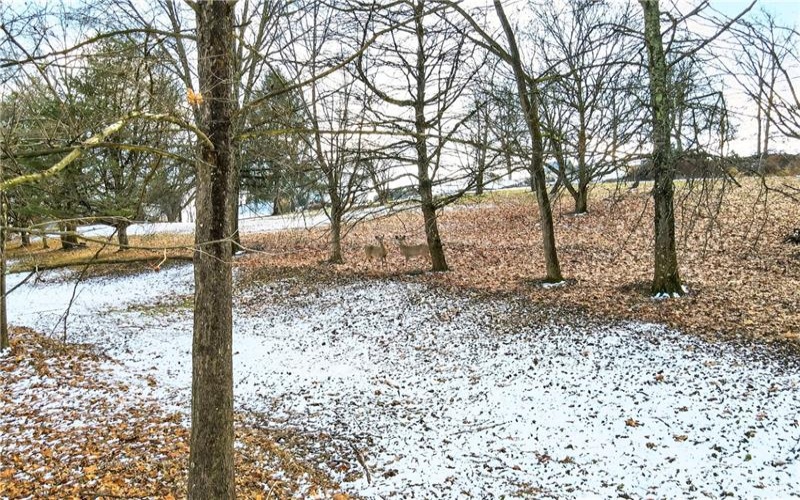 Lot# 14 Verner Lane, Washington, 15301, ,Farm-acreage-lot,For Sale,Verner Lane,1740894