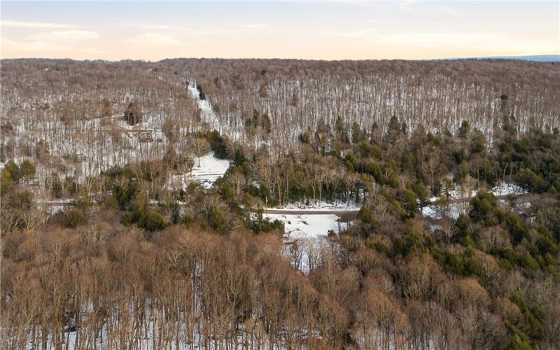 169 Glenview Rd, Somerset, 15501, 3 Bedrooms Bedrooms, ,1 BathroomBathrooms,Farm-acreage-lot,For Sale,Glenview Rd,1740936