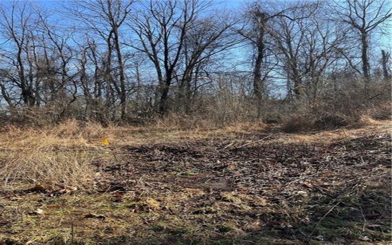 0 Carterway Lane, Penn, 15675, ,Farm-acreage-lot,For Sale,Carterway Lane,1740941