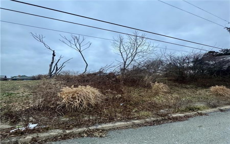 1235 Maple Ave, Monessen, 15062, ,Farm-acreage-lot,For Sale,Maple Ave,1733557