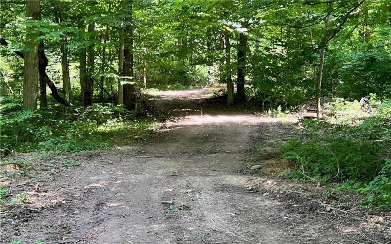 312 Vance, Burgettstown, 15021, 3 Bedrooms Bedrooms, ,Farm-acreage-lot,For Sale,Vance,1740951