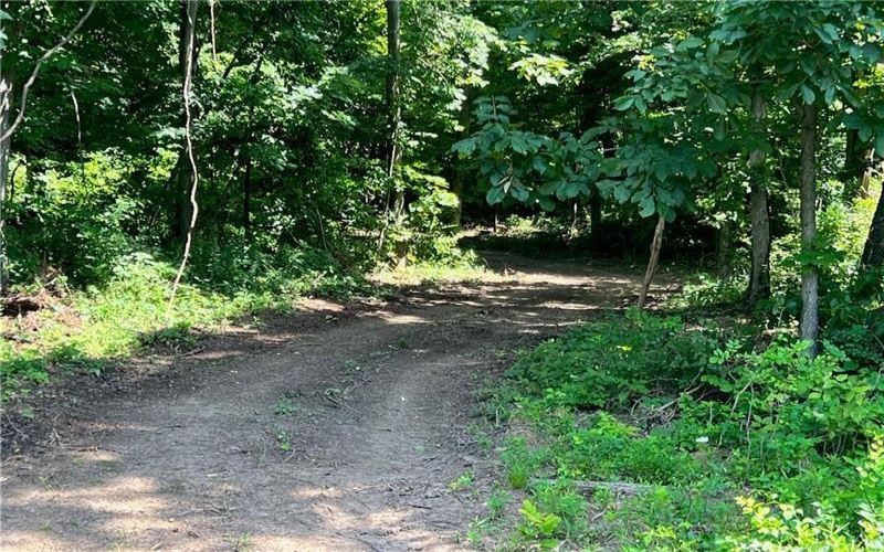 312 Vance, Burgettstown, 15021, 3 Bedrooms Bedrooms, ,Farm-acreage-lot,For Sale,Vance,1740951