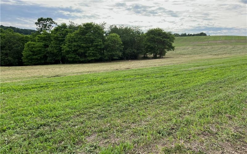 312 Vance, Burgettstown, 15021, 3 Bedrooms Bedrooms, ,Farm-acreage-lot,For Sale,Vance,1740951