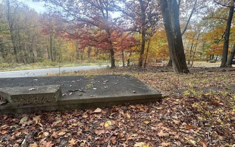 310 Highland Dr, Brownsville, 15417, ,Farm-acreage-lot,For Sale,Highland Dr,1729312