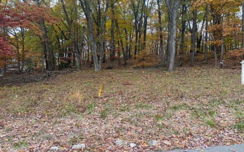 310 Highland Dr, Brownsville, 15417, ,Farm-acreage-lot,For Sale,Highland Dr,1729312