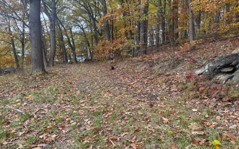 310 Highland Dr, Brownsville, 15417, ,Farm-acreage-lot,For Sale,Highland Dr,1729312