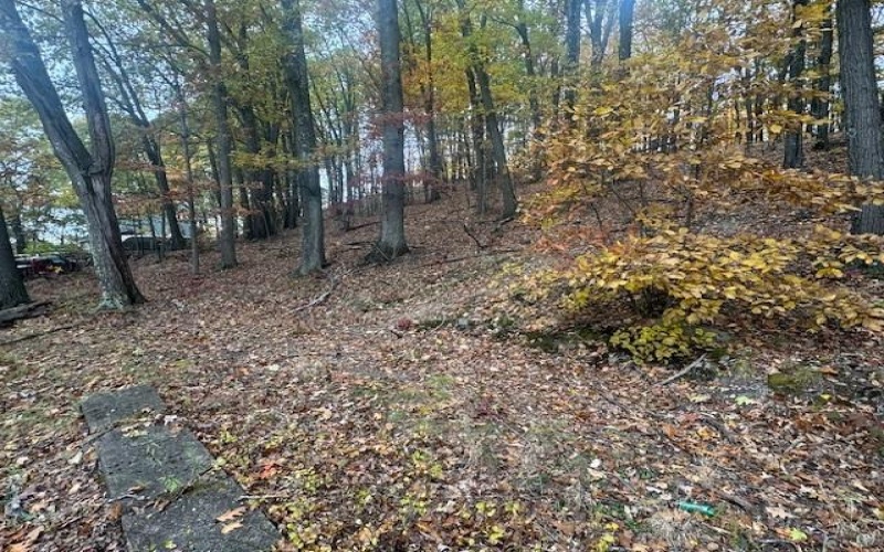 310 Highland Dr, Brownsville, 15417, ,Farm-acreage-lot,For Sale,Highland Dr,1729312