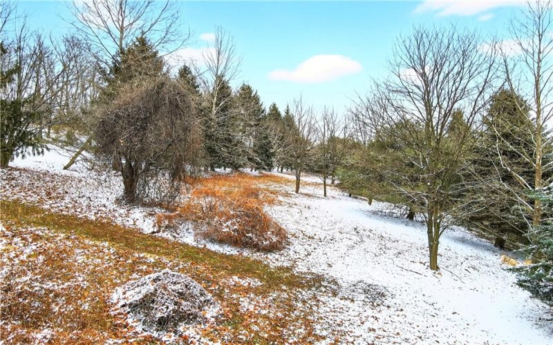 Lot#7 Hemlock Way, Washington, 15301, ,Farm-acreage-lot,For Sale,Hemlock Way,1741035