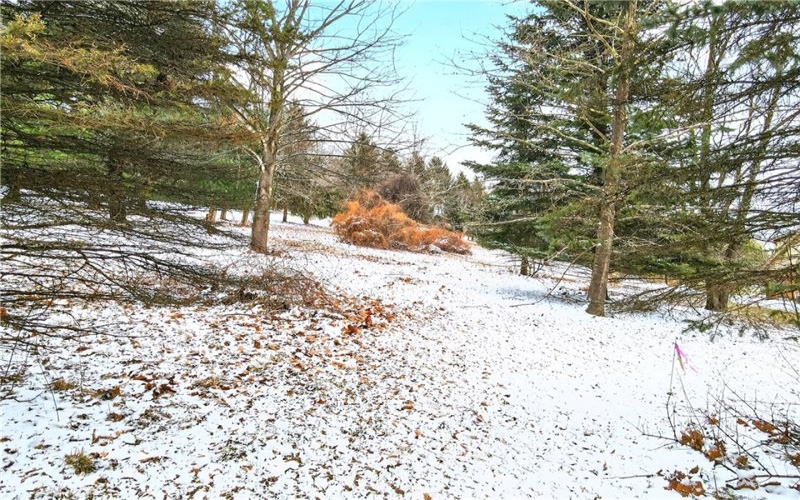 Lot#7 Hemlock Way, Washington, 15301, ,Farm-acreage-lot,For Sale,Hemlock Way,1741035