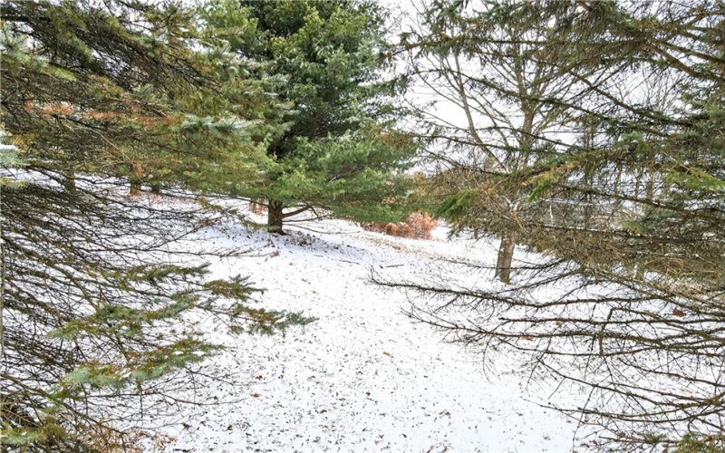 Lot#7 Hemlock Way, Washington, 15301, ,Farm-acreage-lot,For Sale,Hemlock Way,1741035