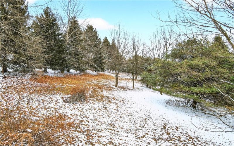 Lot#7 Hemlock Way, Washington, 15301, ,Farm-acreage-lot,For Sale,Hemlock Way,1741035