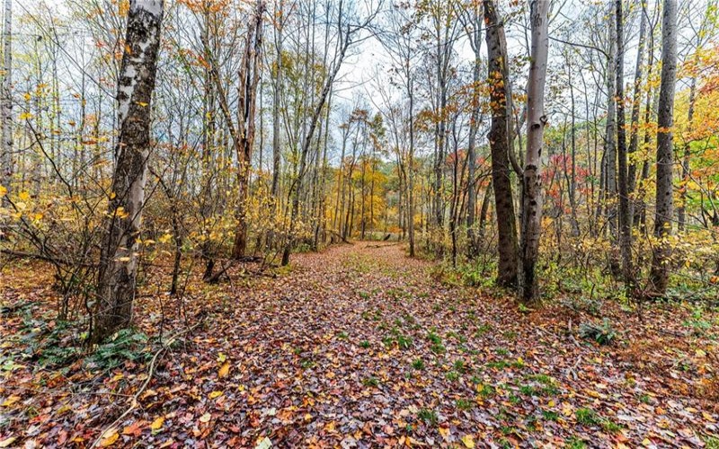 TBD Bortz Mine Road, Point Marion, 15451, ,Farm-acreage-lot,For Sale,Bortz Mine Road,1729378