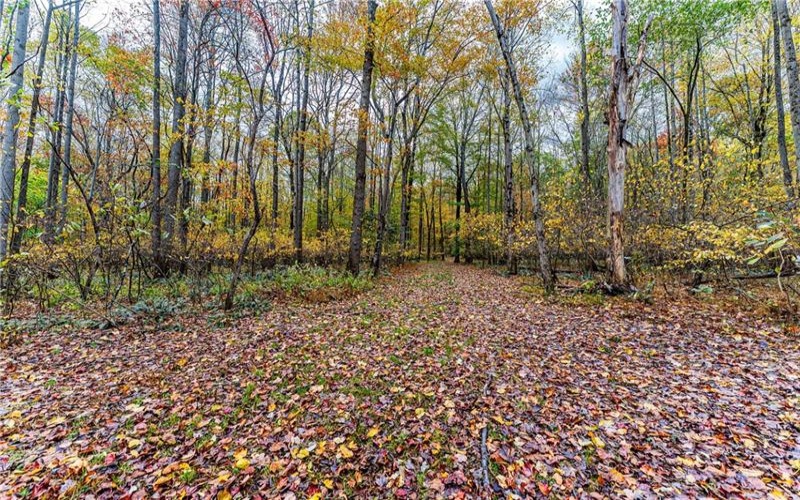 TBD Bortz Mine Road, Point Marion, 15451, ,Farm-acreage-lot,For Sale,Bortz Mine Road,1729378